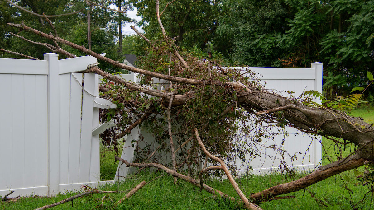 Nine Signs That You Need Emergency Tree Services 1200x675 - Nine Signs That You Need Emergency Tree Services